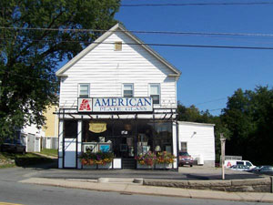 American Plate Glass
